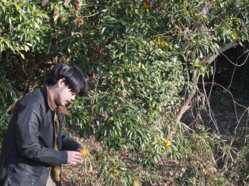 Tatsuya Motonaga, founder of Iseya Distillery, in his field.